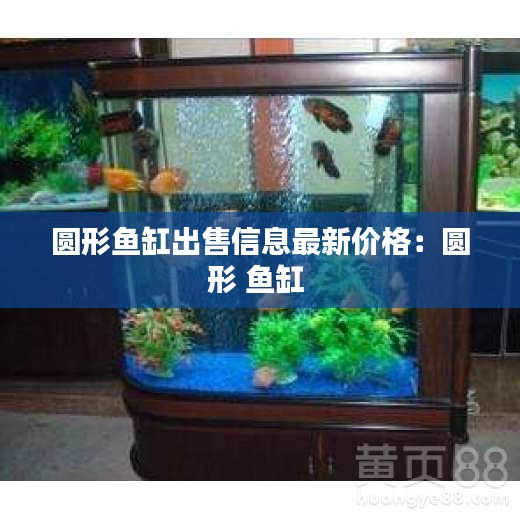 圓形魚缸出售信息最新價(jià)格：圓形 魚缸 