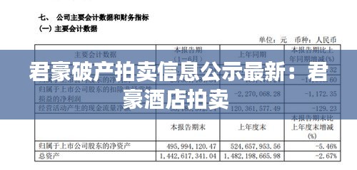 君豪破產(chǎn)拍賣(mài)信息公示最新：君豪酒店拍賣(mài) 