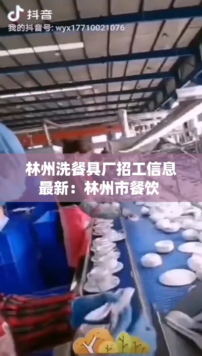 林州洗餐具廠招工信息最新：林州市餐飲 