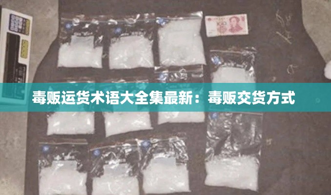毒販運(yùn)貨術(shù)語(yǔ)大全集最新：毒販交貨方式 