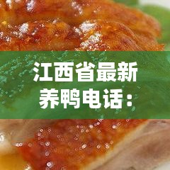 江西省最新養(yǎng)鴨電話：江西養(yǎng)鴨專業(yè)合作社 