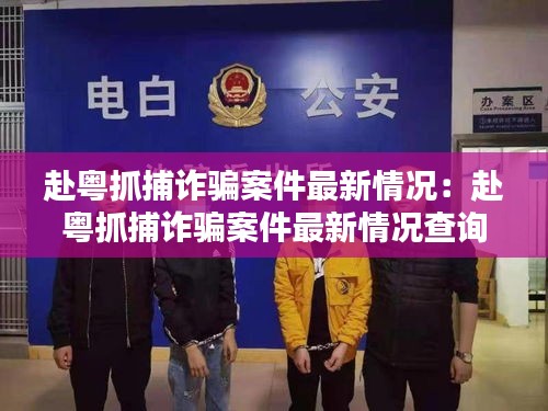 赴粵抓捕詐騙案件最新情況：赴粵抓捕詐騙案件最新情況查詢 