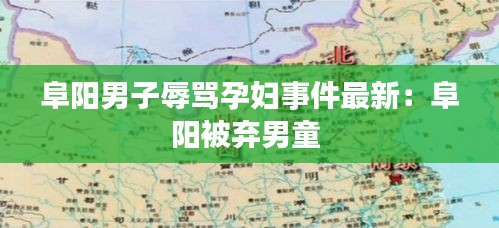 阜陽男子辱罵孕婦事件最新：阜陽被棄男童 