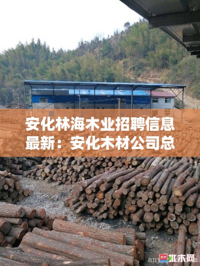 安化林海木業(yè)招聘信息最新：安化木材公司總經(jīng)理 
