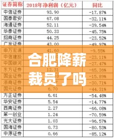合肥降薪裁員了嗎今天最新消息：合肥漲工資 