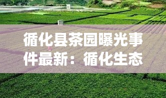循化縣茶園曝光事件最新：循化生態(tài)園 