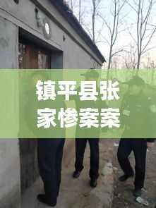 鎮(zhèn)平縣張家慘案案件最新進展：鎮(zhèn)平縣張林鎮(zhèn) 誰是真霸 
