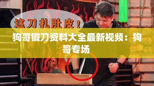 狗哥鍛刀資料大全最新視頻：狗哥專場 