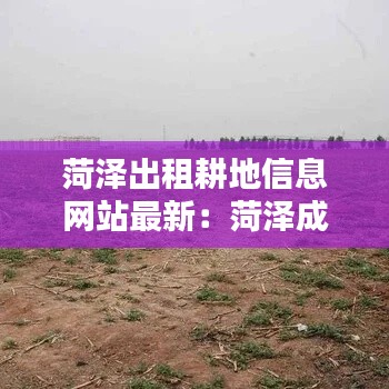 菏澤出租耕地信息網(wǎng)站最新：菏澤成武耕地出租 