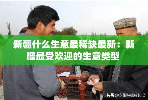 新疆什么生意最稀缺最新：新疆最受歡迎的生意類型 