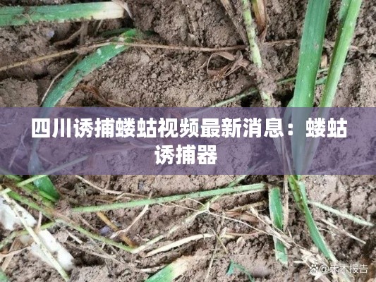 四川誘捕螻蛄視頻最新消息：螻蛄誘捕器 