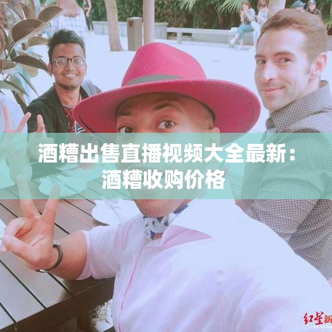 酒糟出售直播視頻大全最新：酒糟收購(gòu)價(jià)格 