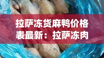 拉薩凍貨麻鴨價格表最新：拉薩凍肉批發(fā)市場 