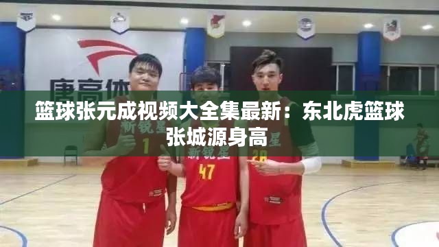 籃球張?jiān)梢曨l大全集最新：東北虎籃球張城源身高 
