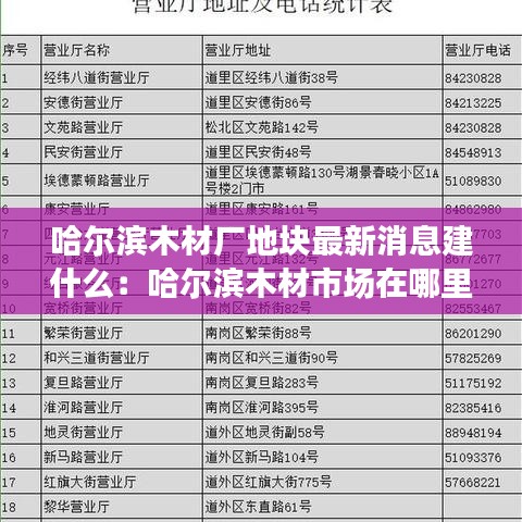哈爾濱木材廠地塊最新消息建什么：哈爾濱木材市場在哪里? 