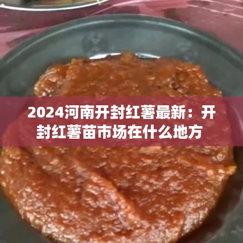 2024河南開封紅薯最新：開封紅薯苗市場在什么地方 