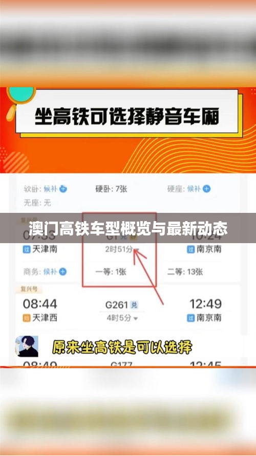 澳門高鐵車型概覽與最新動(dòng)態(tài)