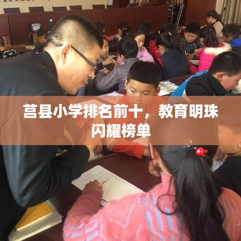 莒縣小學排名前十，教育明珠閃耀榜單