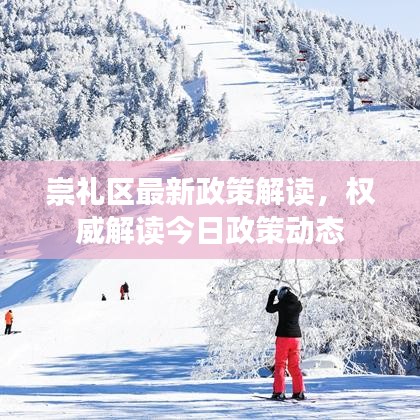 崇禮區(qū)最新政策解讀，權威解讀今日政策動態(tài)