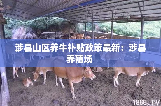 涉縣山區(qū)養(yǎng)牛補(bǔ)貼政策最新：涉縣養(yǎng)殖場 