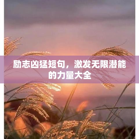 勵志兇猛短句，激發(fā)無限潛能的力量大全