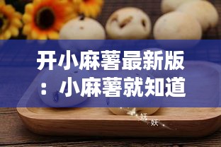開小麻薯最新版：小麻薯就知道吃第一彈手帳 