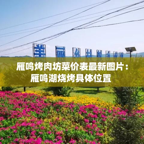 雁鳴烤肉坊菜價(jià)表最新圖片：雁鳴湖燒烤具體位置 