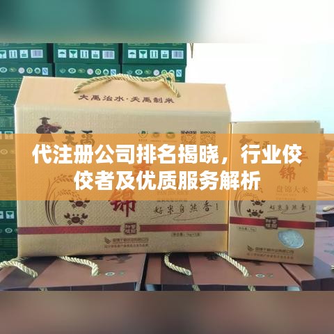 代注冊公司排名揭曉，行業(yè)佼佼者及優(yōu)質(zhì)服務(wù)解析