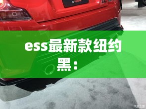 ess最新款紐約黑： 
