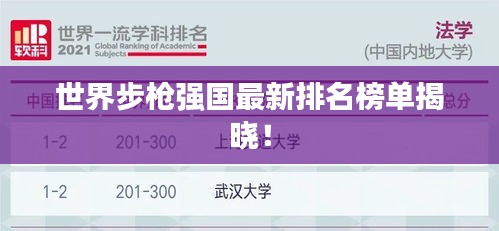 世界步槍強(qiáng)國最新排名榜單揭曉！