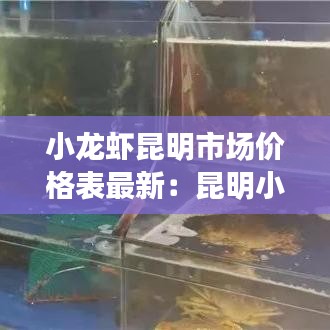 小龍蝦昆明市場(chǎng)價(jià)格表最新：昆明小龍蝦多少錢一公斤2020 
