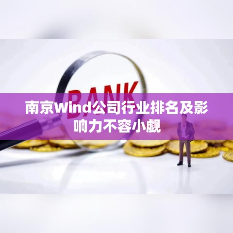 南京Wind公司行業(yè)排名及影響力不容小覷