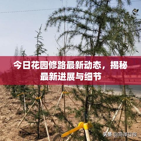 今日花園修路最新動態(tài)，揭秘最新進(jìn)展與細(xì)節(jié)