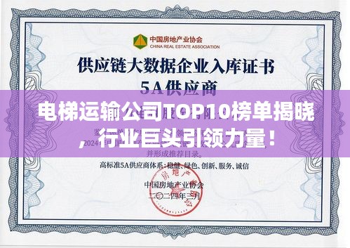 電梯運輸公司TOP10榜單揭曉，行業(yè)巨頭引領(lǐng)力量！