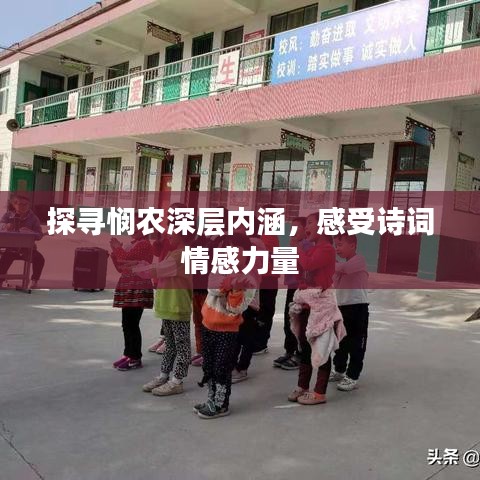 探尋憫農(nóng)深層內(nèi)涵，感受詩詞情感力量