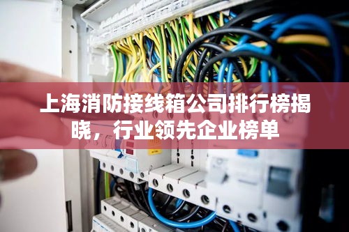 上海消防接線箱公司排行榜揭曉，行業(yè)領(lǐng)先企業(yè)榜單