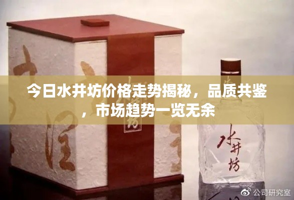 今日水井坊價(jià)格走勢(shì)揭秘，品質(zhì)共鑒，市場(chǎng)趨勢(shì)一覽無余