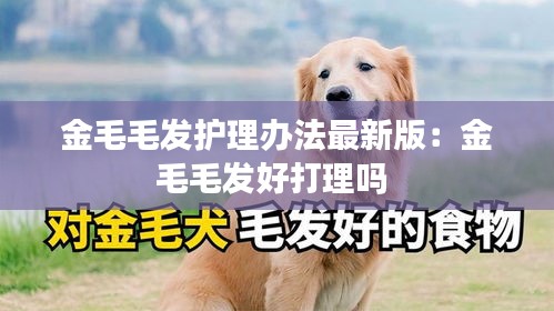 金毛毛發(fā)護(hù)理辦法最新版：金毛毛發(fā)好打理嗎 