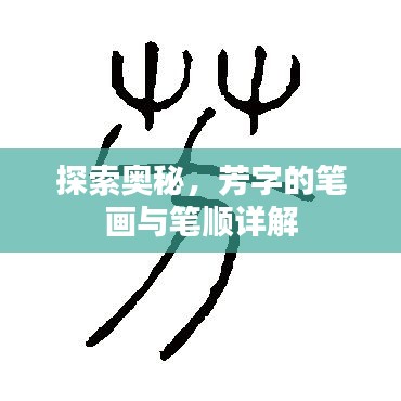 探索奧秘，芳字的筆畫與筆順詳解