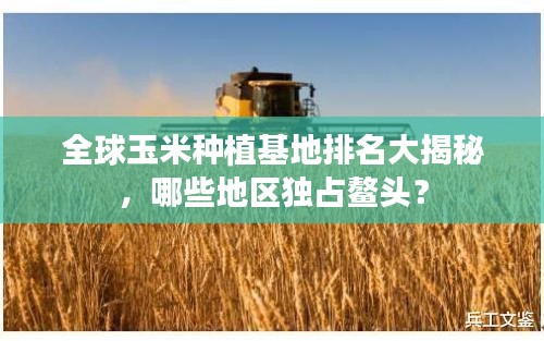 全球玉米種植基地排名大揭秘，哪些地區(qū)獨(dú)占鰲頭？