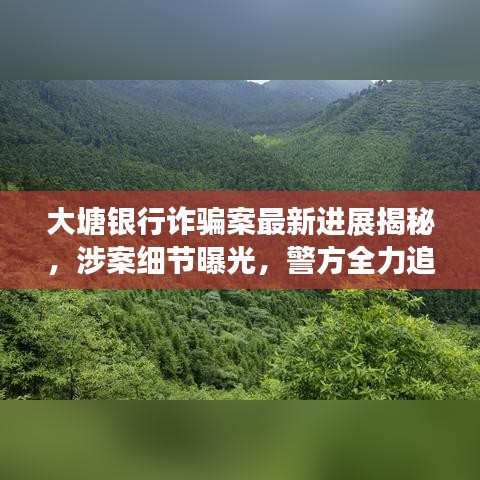 大塘銀行詐騙案最新進展揭秘，涉案細節(jié)曝光，警方全力追查資金流向