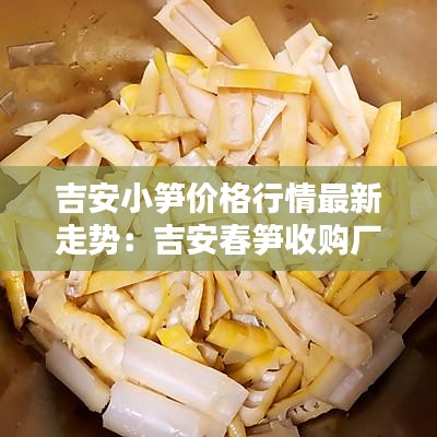 吉安小筍價(jià)格行情最新走勢：吉安春筍收購廠家聯(lián)系電話 
