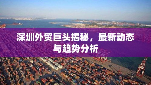 深圳外貿(mào)巨頭揭秘，最新動(dòng)態(tài)與趨勢(shì)分析