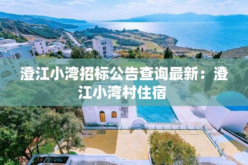 澄江小灣招標(biāo)公告查詢最新：澄江小灣村住宿 