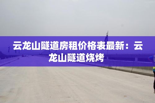 云龍山隧道房租價格表最新：云龍山隧道燒烤 