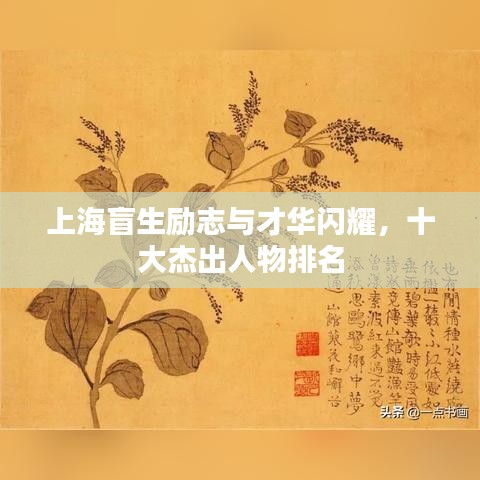 上海盲生勵志與才華閃耀，十大杰出人物排名