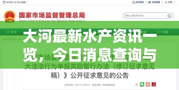 大河最新水產(chǎn)資訊一覽，今日消息查詢與違法犯罪問題探討