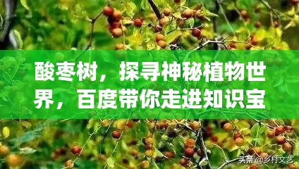 虎背熊腰 第2頁(yè)
