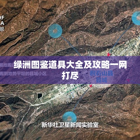 綠洲圖鑒道具大全及攻略一網(wǎng)打盡