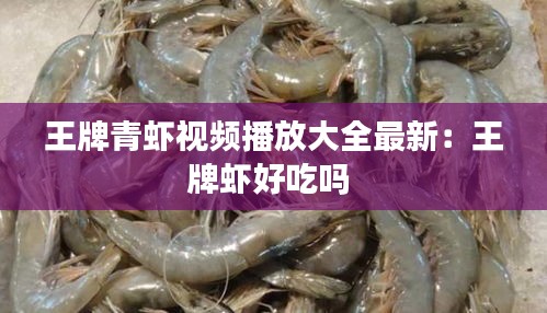 王牌青蝦視頻播放大全最新：王牌蝦好吃嗎 
